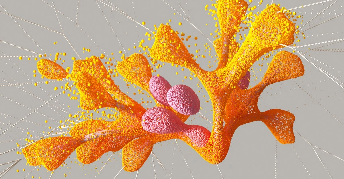 Технический анализ алгоритмов блэкджека в цифровых казино